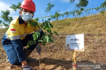 CPM tanam pohon  di lokasi eks tambang emas
