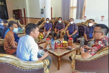 PLN  upayakan secepatnya atasi pemadaman listrik di Morowali Utara