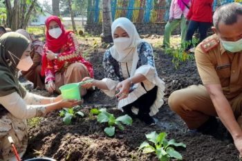 Ketua TP PKK Lamsel kunjungan desa pasuruan cek kesiapan lomba desa