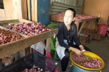 Harga bawang merah di Nunukan turun signifikan