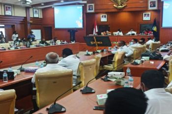 Papua mulai pasang ornamen PON-Perparnas di ruas jalan