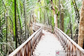 Bupati Bulungan dorong sinergitas kembangkan desa wisata mangrove