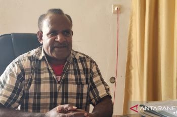 Distribusi arus barang ke Jayawijaya menurun