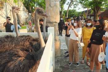 Menyulap bekas kandang sapi jadi kebun binatang mini