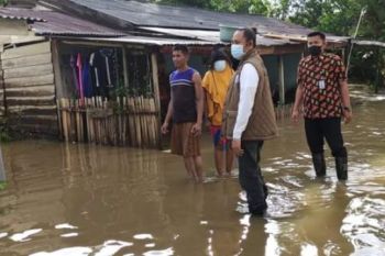 Banjir akibat hujan deras rendam permukiman warga di Mamuju