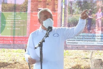 Gubernur minta masyarakat budidayakan ikan Patin Sungai