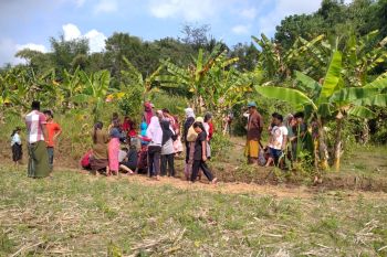 Heboh, tiba-tiba muncul sumber air di tengah sawah di Lombok Tengah