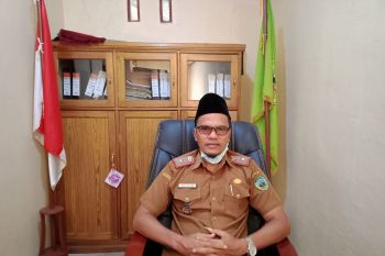 Ini tujuh  kelompok Randai khas Minangkabau yang masih aktif di Nagari Aia Manggih Pasaman