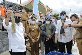 Lampung didorong kembangkan tambak udang modern