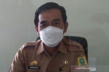 Pemkab Sinjai terima bantuan peningkatan produksi pertanian dari Kementan