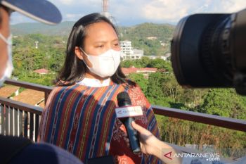 Dirut BPOLBF sebut  turis akan nikmati wajah baru Labuan Bajo
