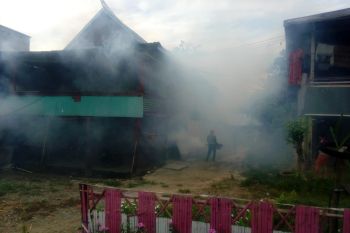 41 kasus DBD di Kabupaten Sinjai hingga Juni 2021