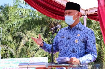 Gubernur: pemeliharaan hutan kontribusi pemprov jaga lingkungan