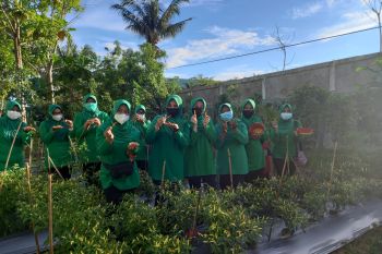 Ketua PersitKodim Tarakan Pimpin Panen Hasil Progam Ketahanan Satuan