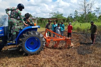 Kementan akan tambah "food estate" berbasis komoditas hortikultura