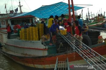 Pengaduan ABK WNI lebih banyak datang dari kapal ikan asing