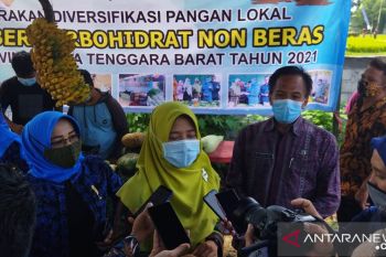 NTB mengkampanyekan diversifikasi pangan lokal pengganti nasi