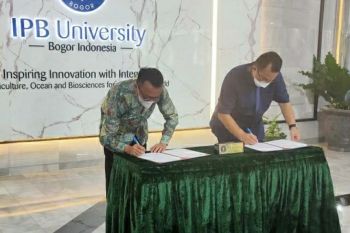 Pemkab Morowali Utara-IPB  kerja sama kembangkan pertanian