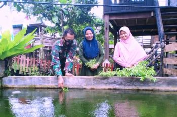 Satgas TMMD Polman dorong peningkatkan produktivitas ikan air tawar