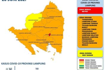 Dinkes: Tiga daerah sumbang kasus harian COVID-19 terbanyak di Lampung