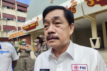 Disbun Lampung catat 781 petani lada jalani pelatihan untuk tingkatkan produksi