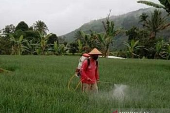 Di 2021 bantuan ini akan disalurkan Pemkab Solok Selatan untuk tingkatkan perekonomian