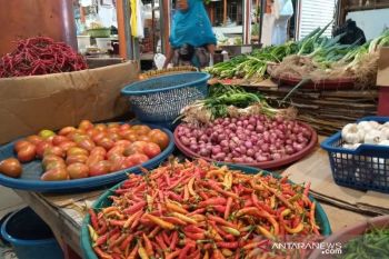 Ini dilakukan Dinas Pangan Kota Solok agar masyarakat cerdas memilih bahan makanan