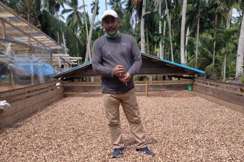Ekspor perkebunan Kepulauan Meranti ke Malaysia meningkat