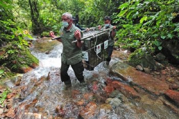 Pelepasliaran satwa di Taman Nasional Kerinci Seblat