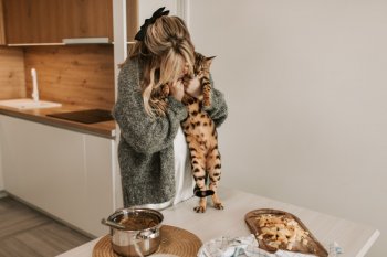 Benarkah makanan buatan sendiri lebih bagus untuk kucing?