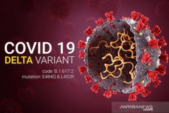 Indonesia looks to India for lessons amid second COVID wave