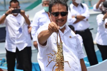 Menteri Kelautan: Ekonomi biru perlu  penguatan riset