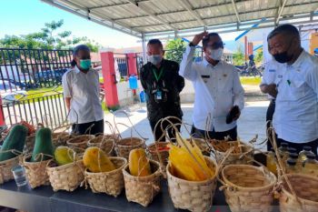 Pemkab Sigi dukung ADRA  tingkatkan kualitas hasil pertanian petani