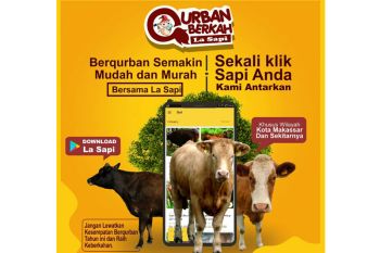 Pemkab Sinjai kembangkan aplikasi La Sapi di masa pandemi