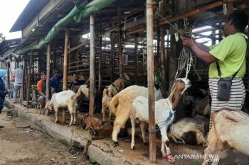Jelang Idul Adha, harga hewan kurban di Solo mulai naik