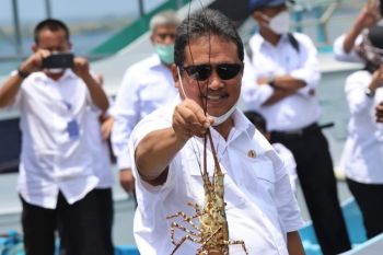 Menteri Kelautan dan Perikanan nyatakan ekonomi biru perlu didukung penguatan riset