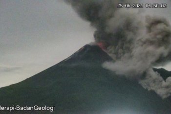 Tiga awan panas guguran Gunung Merapi meluncur ke tenggara sejauh 3 km