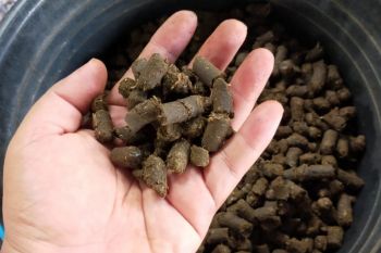 Kontrak pelet TOSS PLTU Ropa dukung transisi energi RI