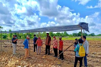 DKPPP Barsel cek lokasi rencana pengembangan food estate di Rantau Bahuang