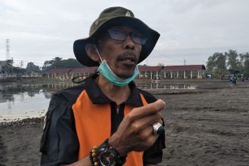 Penandaan digital RTG di Mataram terancam batal