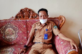 Untuk hewan kurban masyarakat Pasaman dilarang menyembelih sapi betina produktif