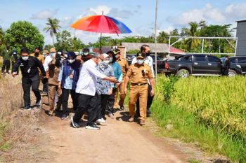 Peningkatan infrastruktur jalan di kawasan food estate tingkatkan perekonomian masyarakat