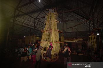 Tradisi Hasil Panen Padi Melimpah Dayak Piani