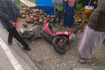 Dua sepeda motor adu jangkrik di Jalan Raya Aik Darek Loteng