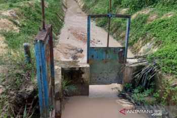 Petani Desa Rias minta pemda benahi pengairan sawah