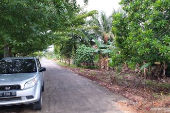 Memacu ekowisata tingkatkan ekonomi dan kelestarian alam