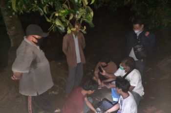 Diduga edarkan ganja, tiga petani di Pasaman Barat ditangkap polisi