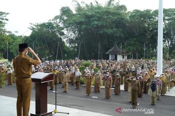Ayo melamar....Pemkot Bukittinggi resmi buka pendaftaran CPNS dan PPPK