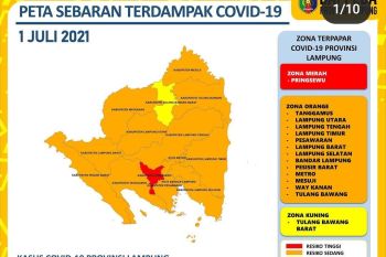 Dinkes sebut kasus positif COVID-19 di Lampung bertambah 206, jadi 21.878 orang