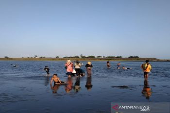 Dispar usulkan penutupan objek wisata di Kulon Progo guna cegah penularan COVID-19
